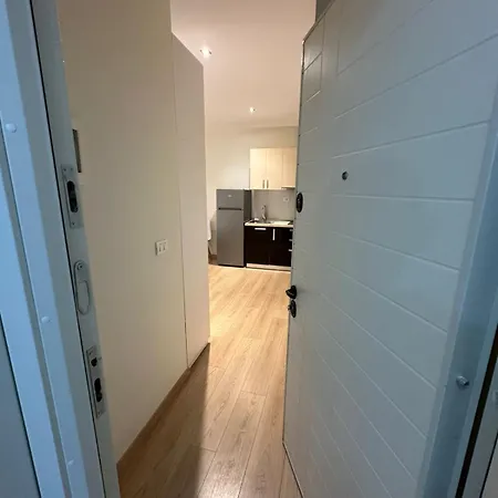 Dani's *